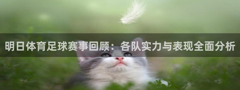 明日体育足球赛事回顾：各队实力与表现全面分析