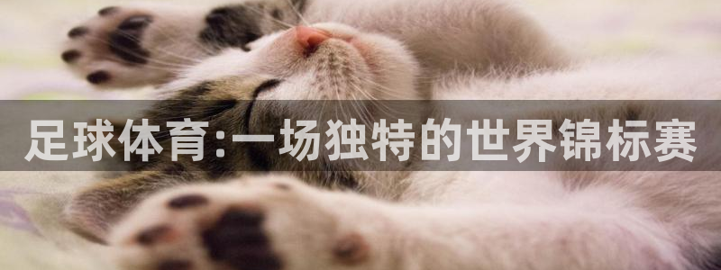 足球体育:一场独特的世界锦标赛