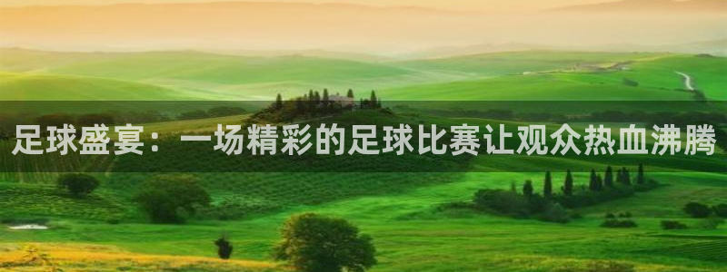 足球盛宴：一场精彩的足球比赛让观众热血沸腾