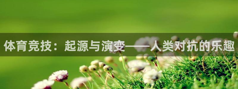 体育竞技：起源与演变——人类对抗的乐趣