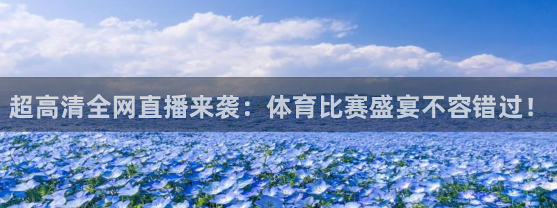 超高清全网直播来袭：体育比赛盛宴不容错过！