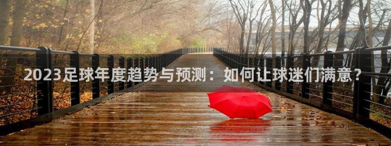 2023足球年度趋势与预测：如何让球迷们满意？