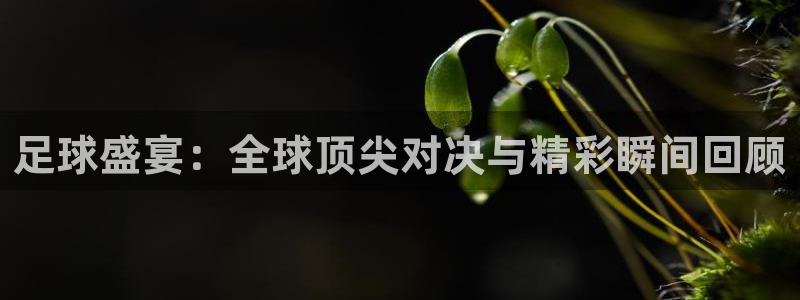 足球盛宴：全球顶尖对决与精彩瞬间回顾