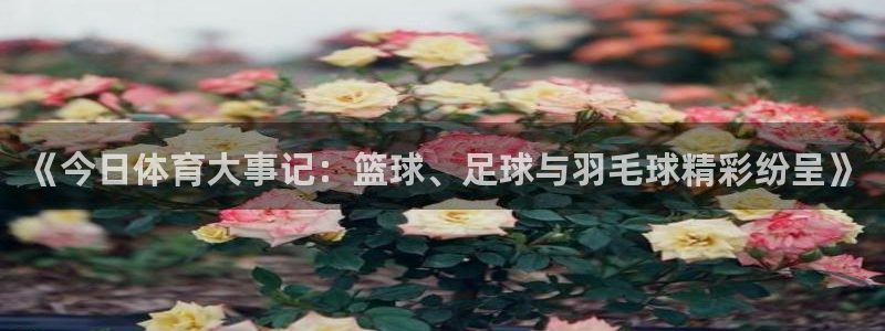 《今日体育大事记：篮球、足球与羽毛球精彩纷呈》