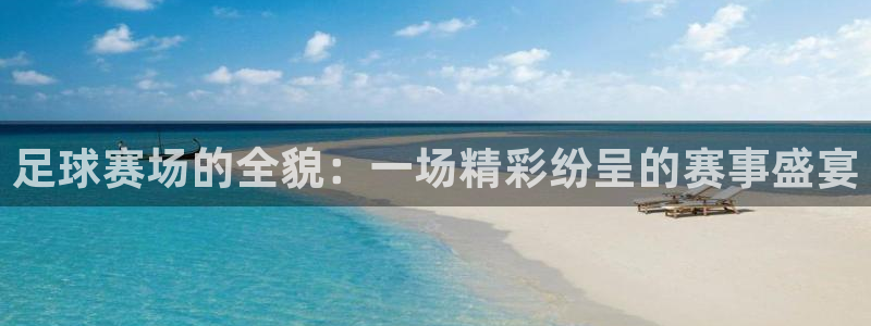 足球赛场的全貌：一场精彩纷呈的赛事盛宴