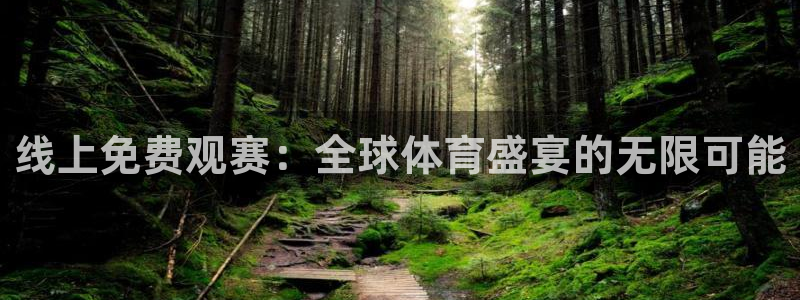 线上免费观赛：全球体育盛宴的无限可能