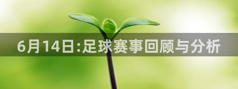6月14日:足球赛事回顾与分析