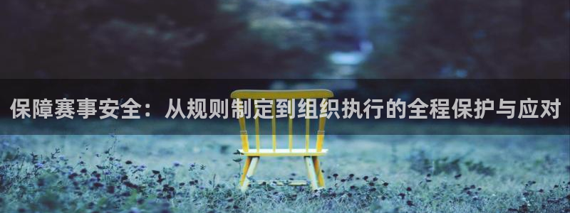 保障赛事安全：从规则制定到组织执行的全程保护与应对