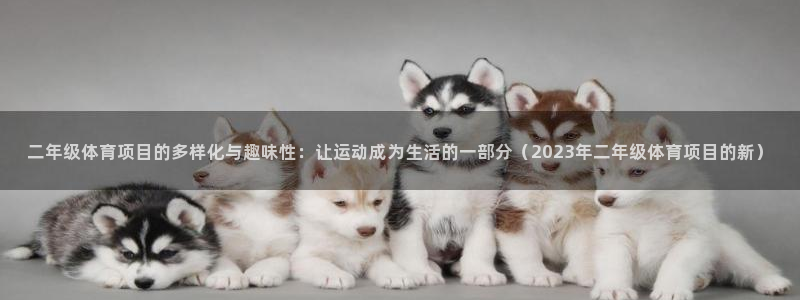 二年级体育项目的多样化与趣味性：让运动成为生活的一部分（2023年二年级体育项目