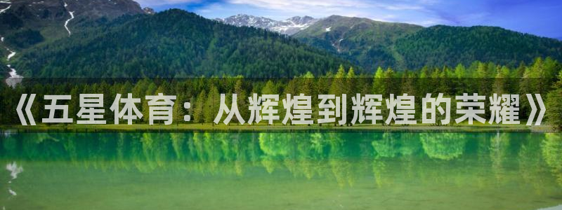 《五星体育：从辉煌到辉煌的荣耀》