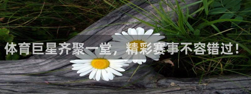 体育巨星齐聚一堂，精彩赛事不容错过！