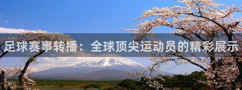 足球赛事转播：全球顶尖运动员的精彩展示