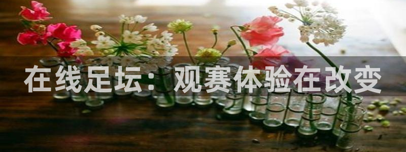 在线足坛：观赛体验在改变