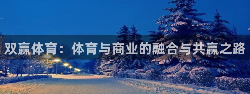 双赢体育：体育与商业的融合与共赢之路