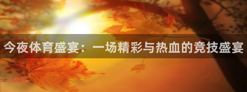 今夜体育盛宴：一场精彩与热血的竞技盛宴