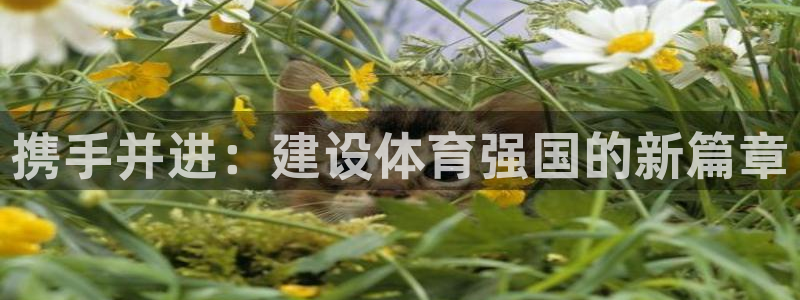 携手并进：建设体育强国的新篇章