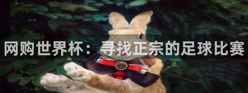 网购世界杯：寻找正宗的足球比赛