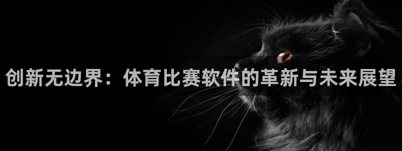 创新无边界：体育比赛软件的革新与未来展望
