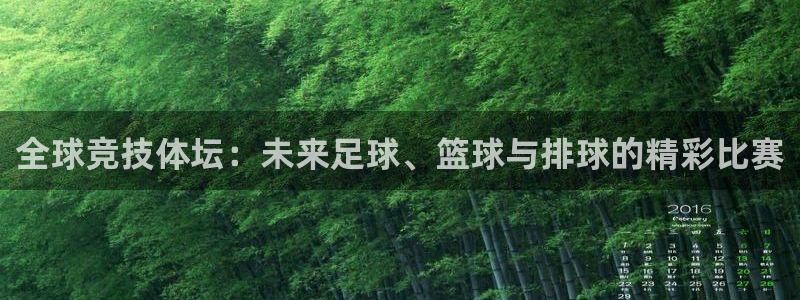 全球竞技体坛：未来足球、篮球与排球的精彩比赛