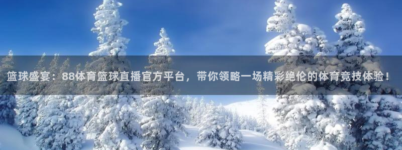 篮球盛宴：88体育篮球直播官方平台，带你领略一场精彩绝伦的体育竞技体验！