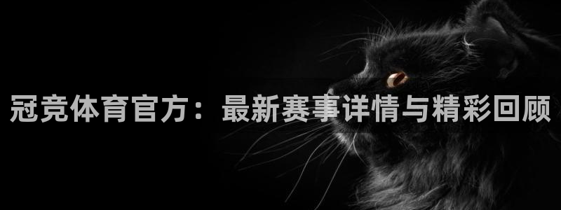 冠竞体育官方：最新赛事详情与精彩回顾
