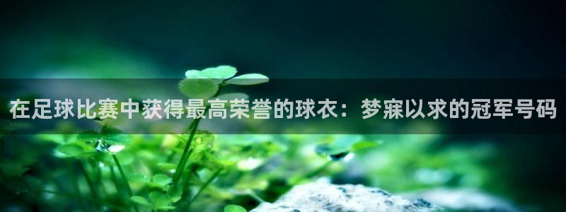 在足球比赛中获得最高荣誉的球衣：梦寐以求的冠军号码