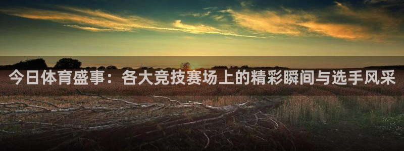 今日体育盛事：各大竞技赛场上的精彩瞬间与选手风采
