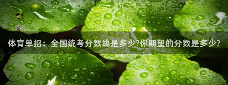 体育单招：全国统考分数线是多少?你期望的分数是多少?