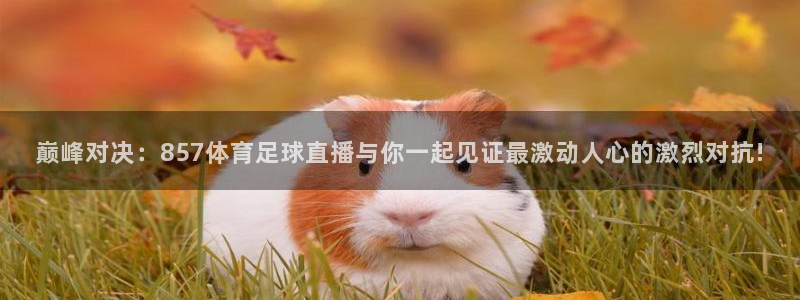 巅峰对决：857体育足球直播与你一起见证最激动人心的激烈对抗!