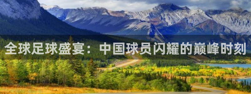 全球足球盛宴：中国球员闪耀的巅峰时刻