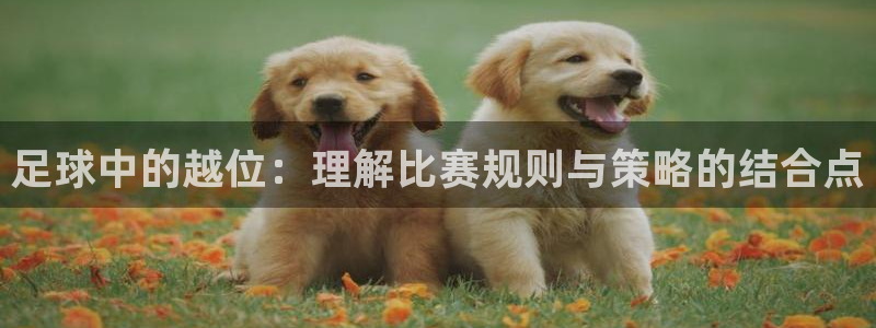 足球中的越位：理解比赛规则与策略的结合点