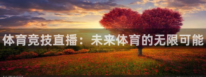 体育竞技直播：未来体育的无限可能