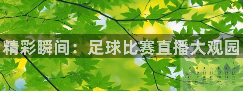 精彩瞬间：足球比赛直播大观园