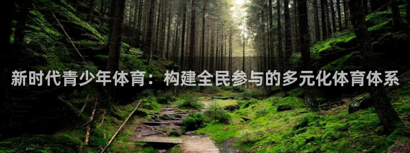 新时代青少年体育：构建全民参与的多元化体育体系