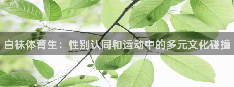 白袜体育生：性别认同和运动中的多元文化碰撞