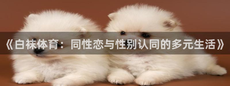 《白袜体育：同性恋与性别认同的多元生活》