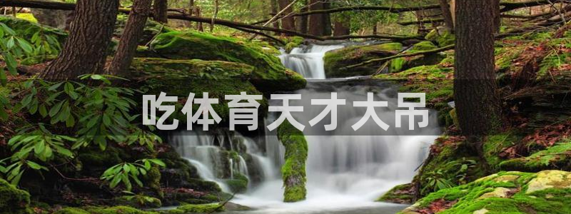 吃体育天才大吊