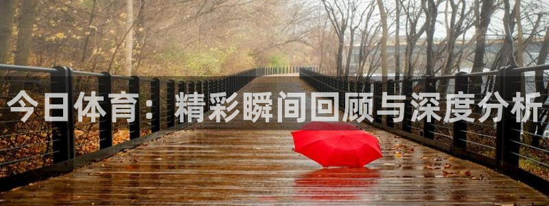 今日体育：精彩瞬间回顾与深度分析