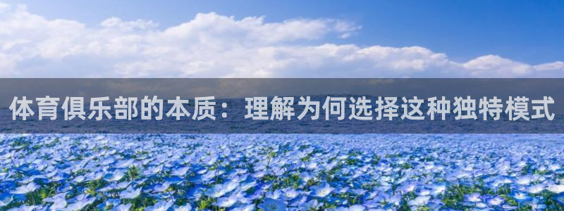 体育俱乐部的本质：理解为何选择这种独特模式