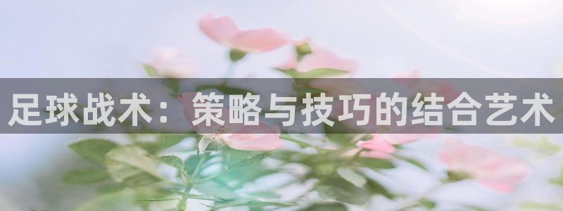 足球战术：策略与技巧的结合艺术