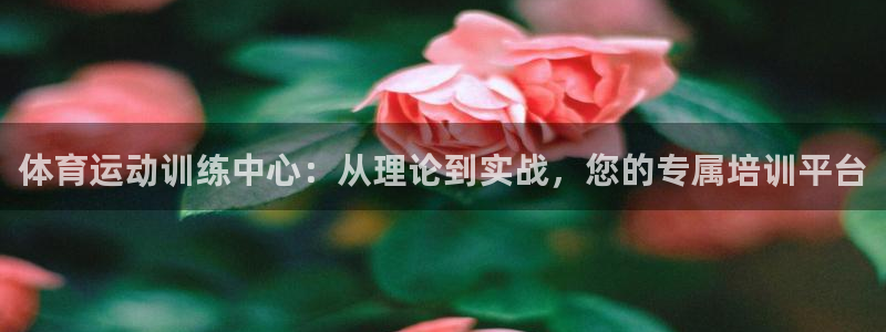 体育运动训练中心：从理论到实战，您的专属培训平台