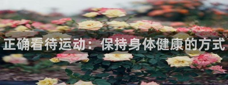 正确看待运动：保持身体健康的方式