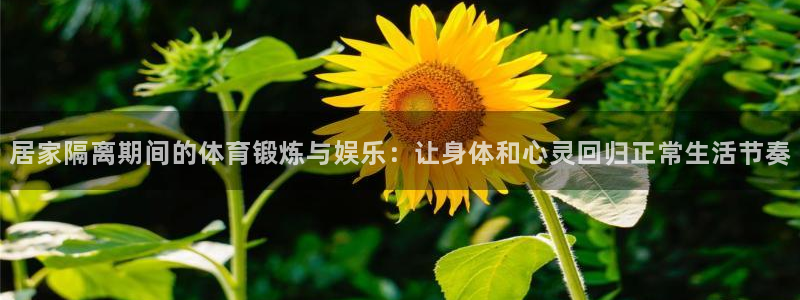 居家隔离期间的体育锻炼与娱乐：让身体和心灵回归正常生活节奏