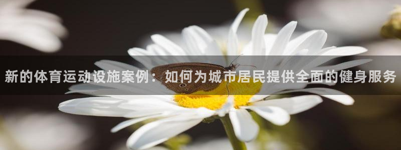 新的体育运动设施案例：如何为城市居民提供全面的健身服务