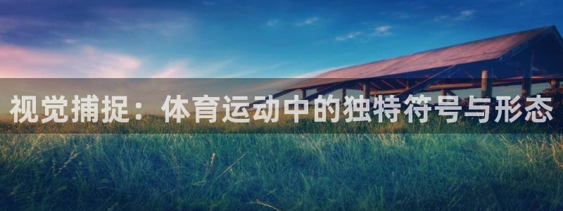 视觉捕捉：体育运动中的独特符号与形态