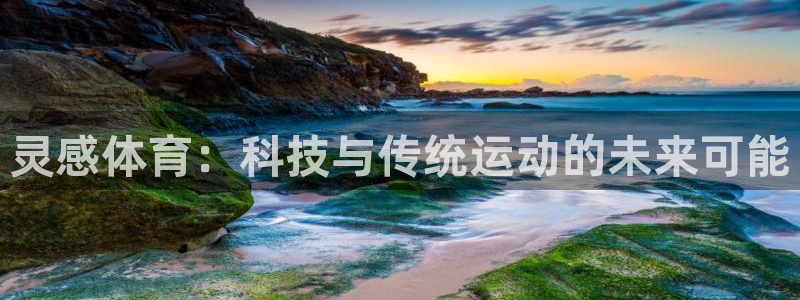 灵感体育：科技与传统运动的未来可能