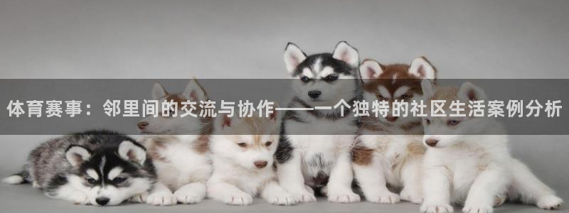体育赛事：邻里间的交流与协作——一个独特的社区生活案例分析