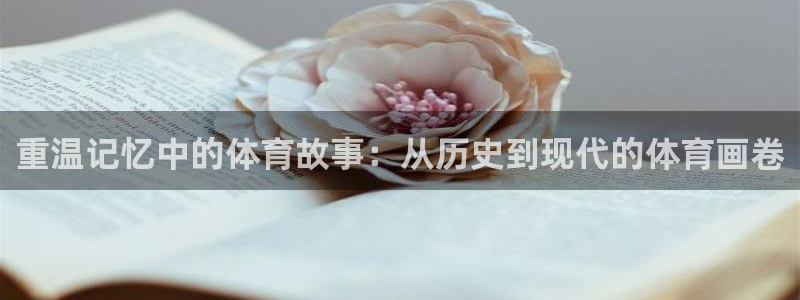 重温记忆中的体育故事：从历史到现代的体育画卷
