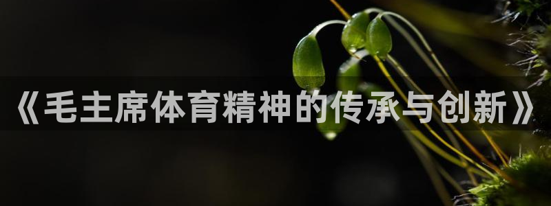 《毛主席体育精神的传承与创新》