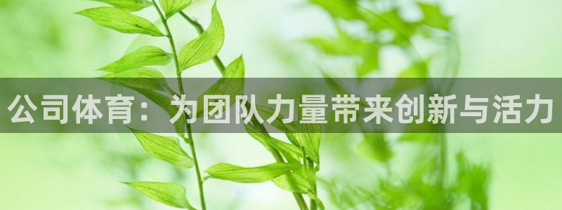 公司体育：为团队力量带来创新与活力